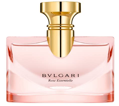 bvlgari rose review.